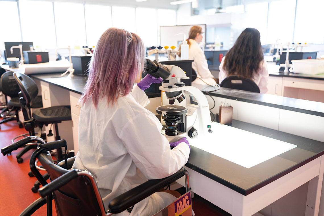 A female presenting scientist sits in a wheelchair looking into a microscope